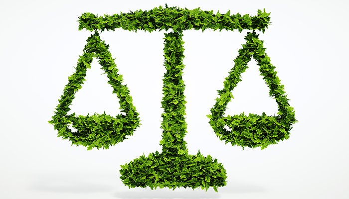 enviromental_law